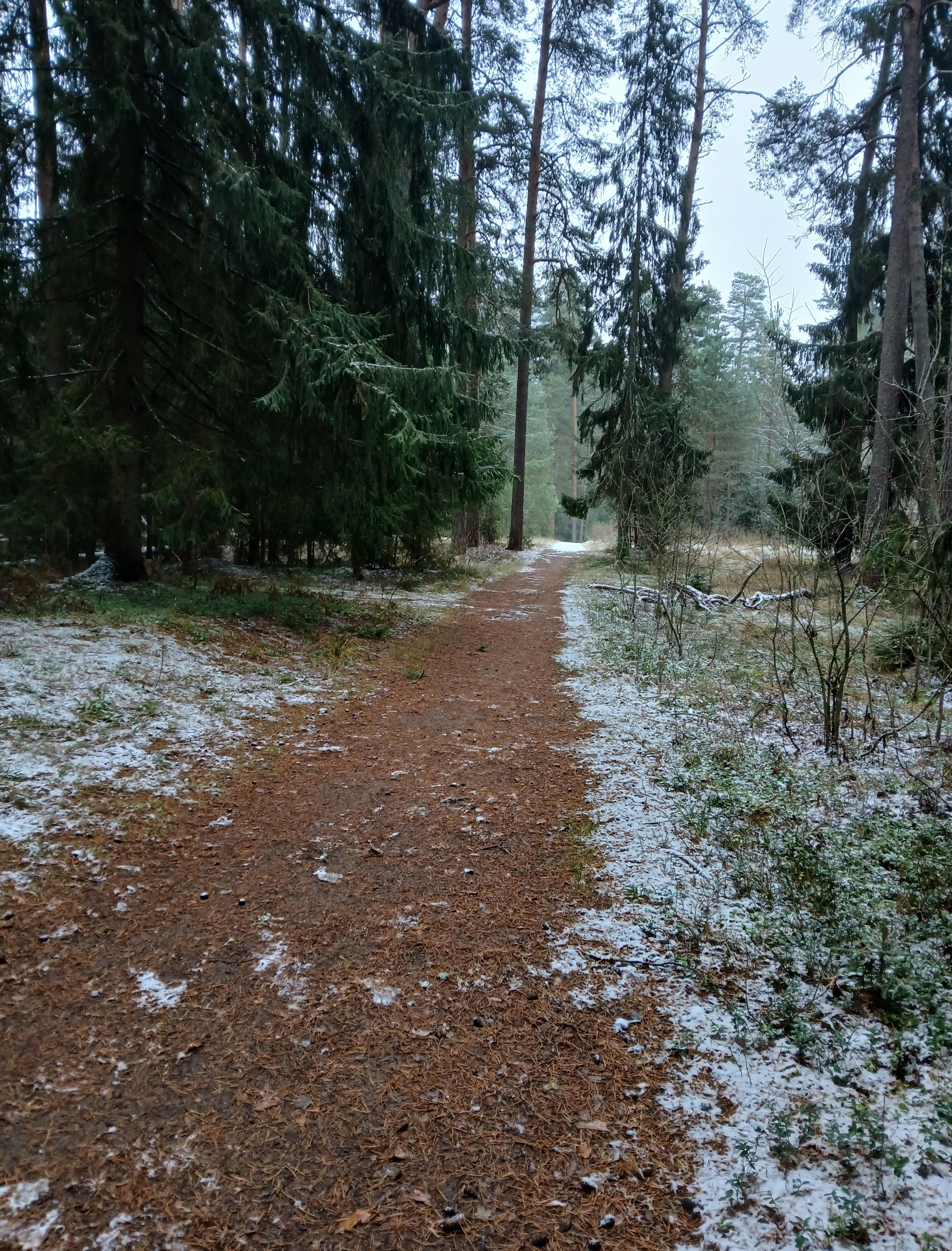 И на душе тоска...