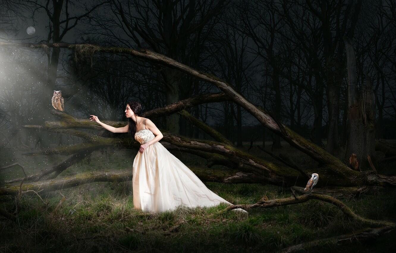 НЕПУТЁВЫЙ ЗЯТЬ