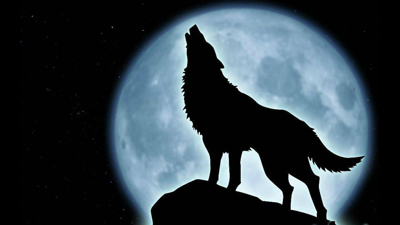Ария одинокого волка