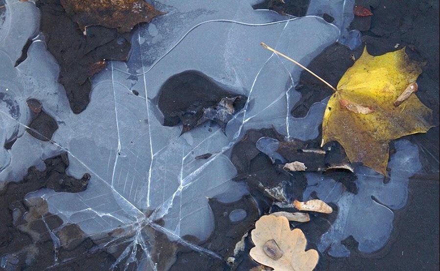 Чуть, мутноватый, как слюда