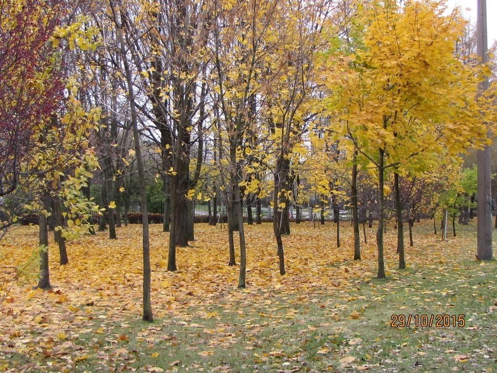 НАСТАЛА ПОРА ЛИСТОПАДА...