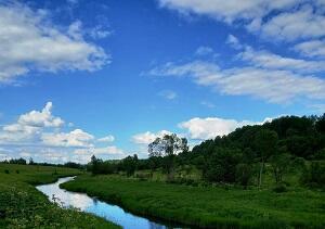 Помню зелень луга яркую