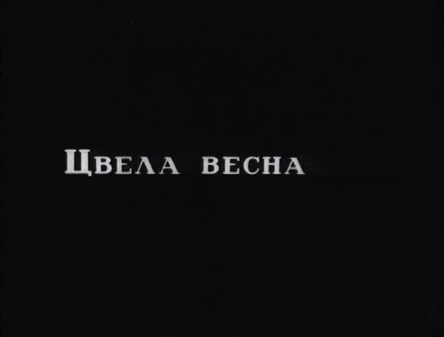 Цунами