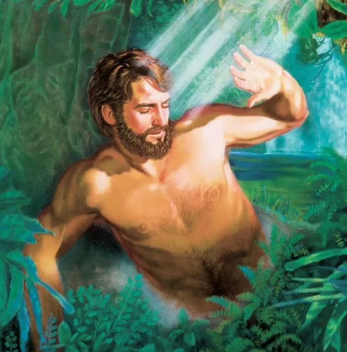 Мечты Адама