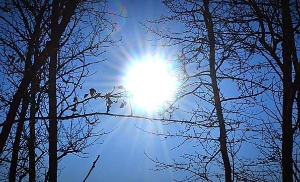 На весенних струнах