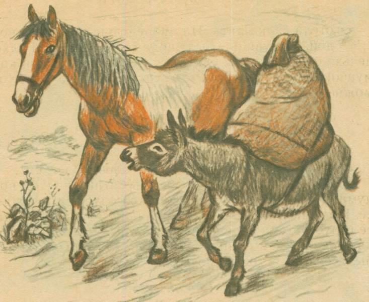Гении и серые лошадки – часто были лучшими друзьями...