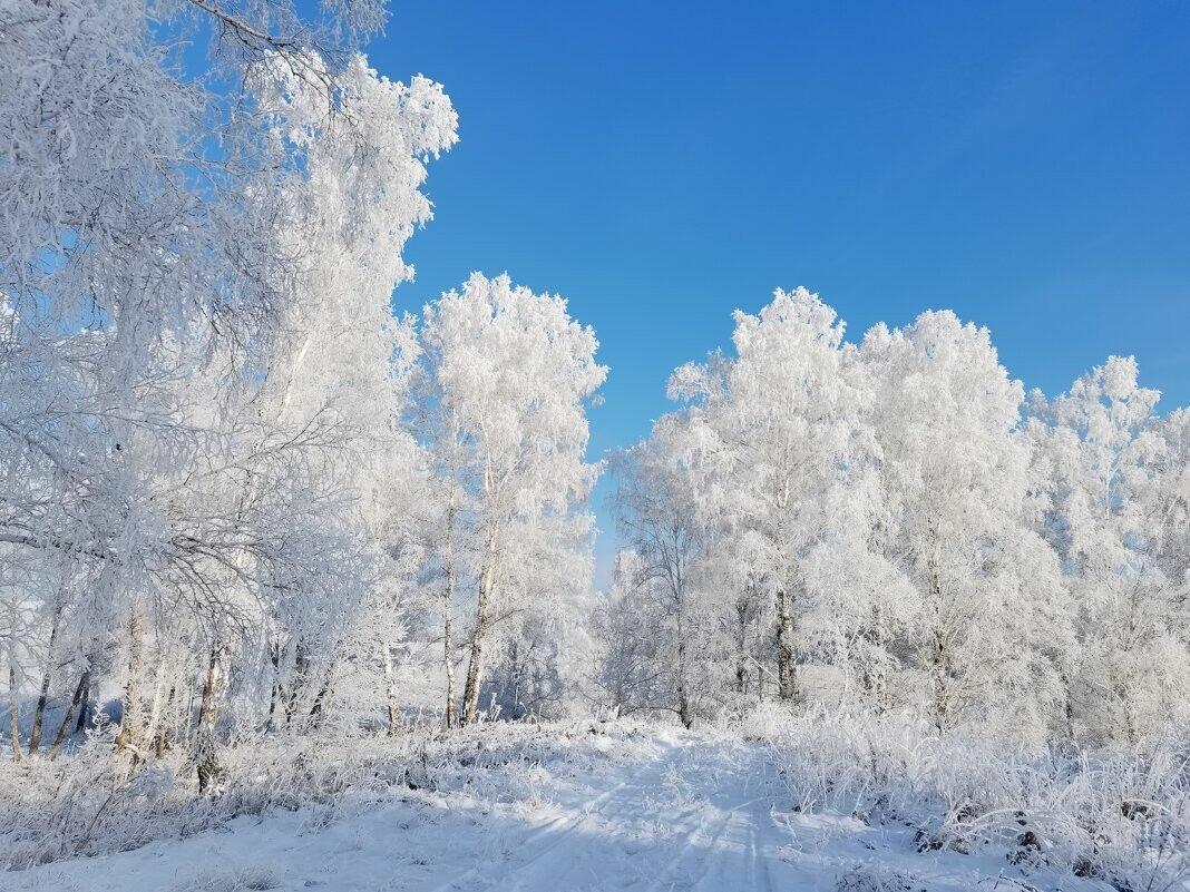 Прелестны зимние деньки