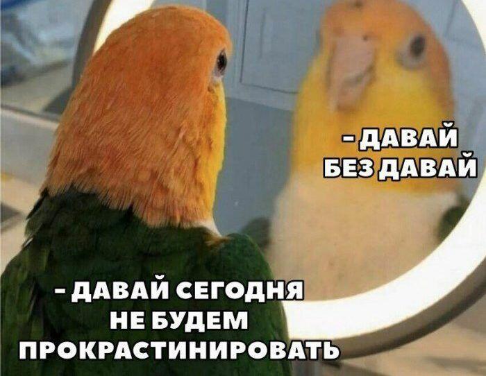 Прокрастинация