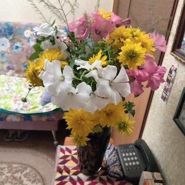 ЗОВ РОДСТВА