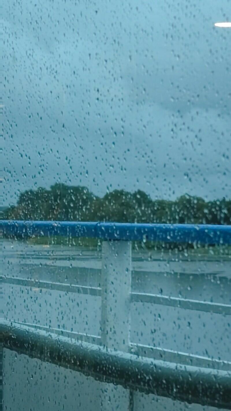 Осенний сон 