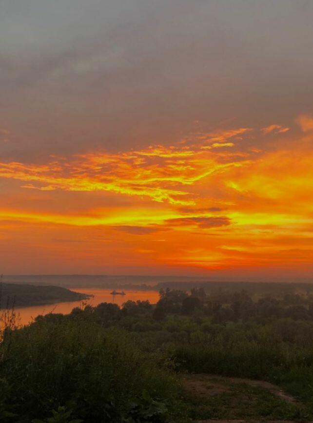 Вьется птицей оранжевый вечер