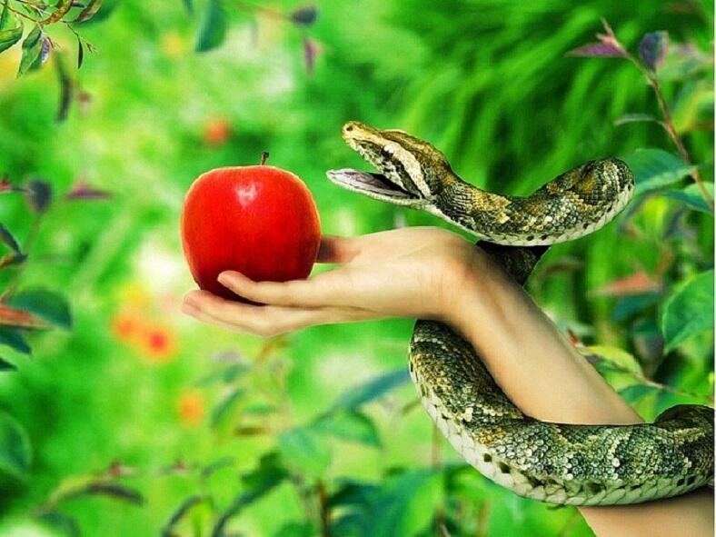 То рай, то ад