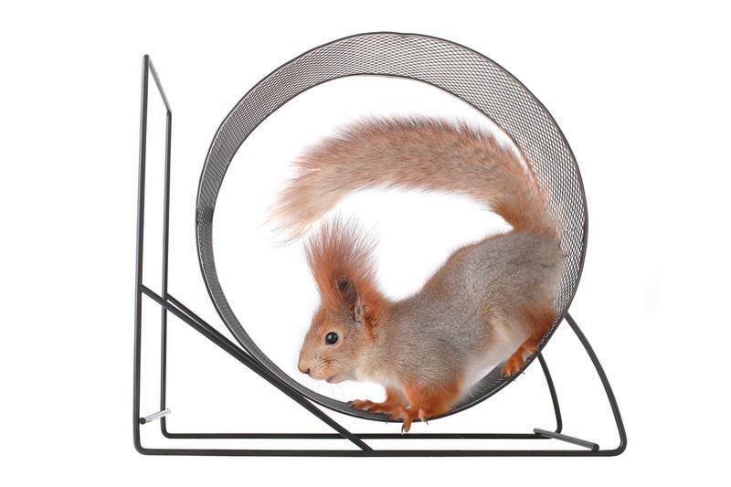 Я как белка в колесе*