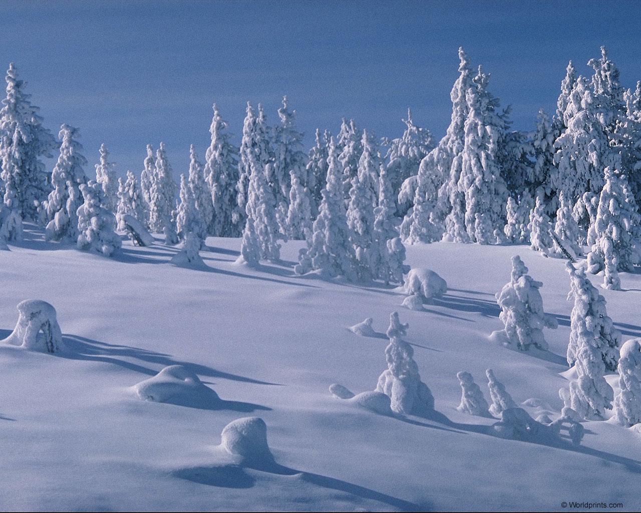 В снежном танце танцуем мы