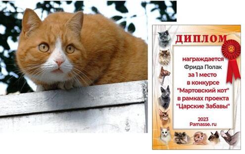 ЧТО ВАЖНЕЕ ДЛЯ КОТА - басня