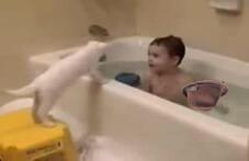 Шляпа-пароход