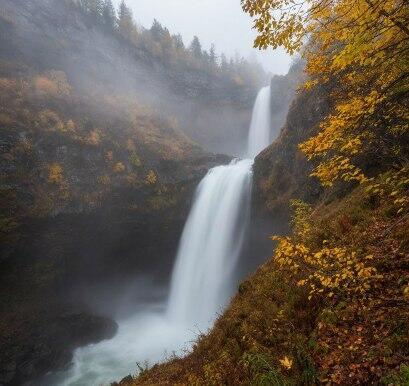 Унылая пора в цветастом сборе