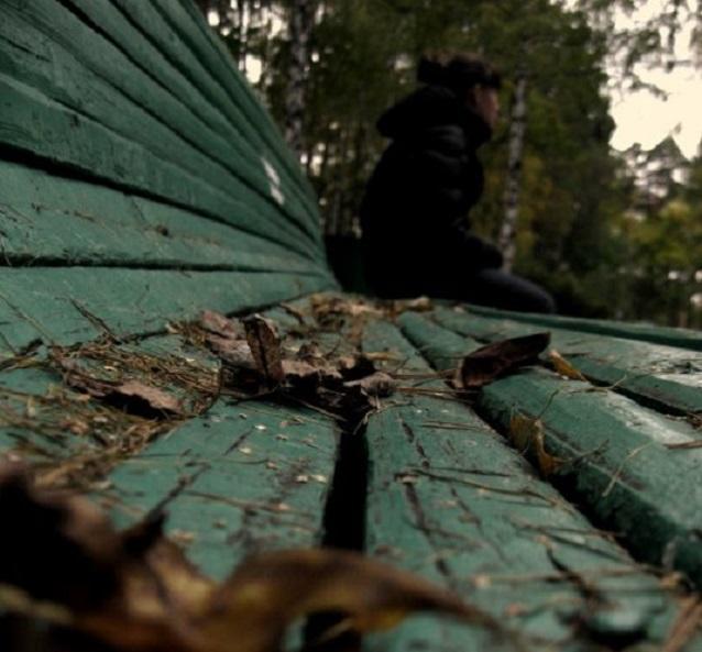 "Осенний день" (28.05.2017)