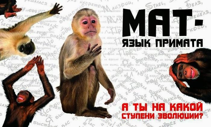 Мудрый совет