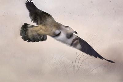 Здравствуй время!