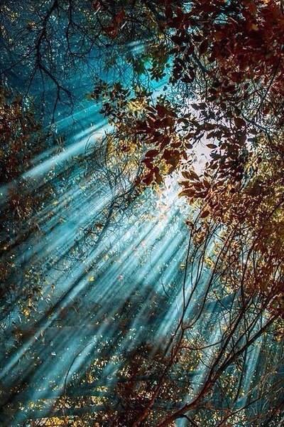 Где льётся свет, Твоей Любви!