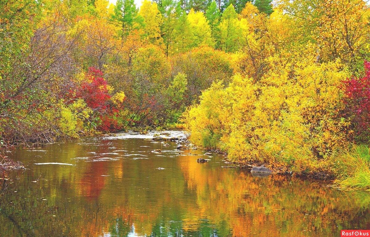 Ответ поэту - Гаптуллов Фердинанд - ПРИРОДА В ЗОЛОТОЙ ОПРАВЕ