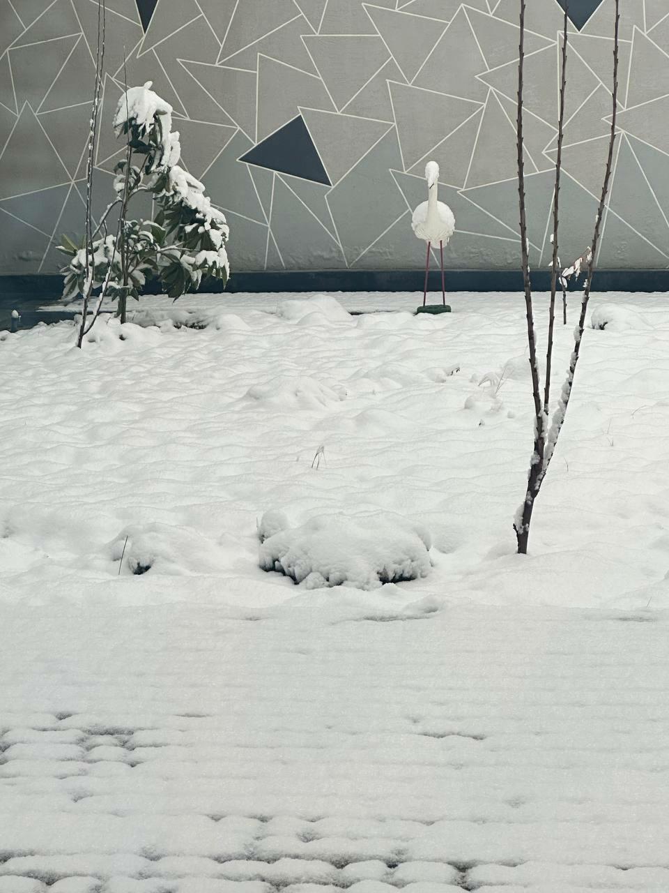 Хныкать иногда полезно (Маня 38)