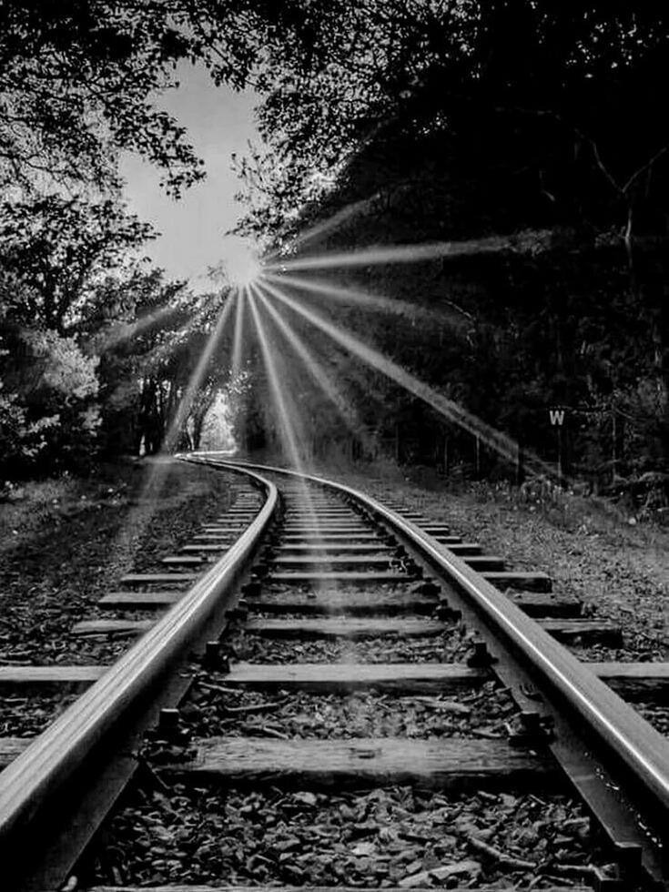 Песочное солнце