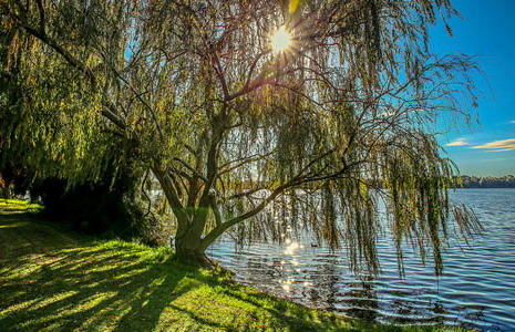 Под капли нот