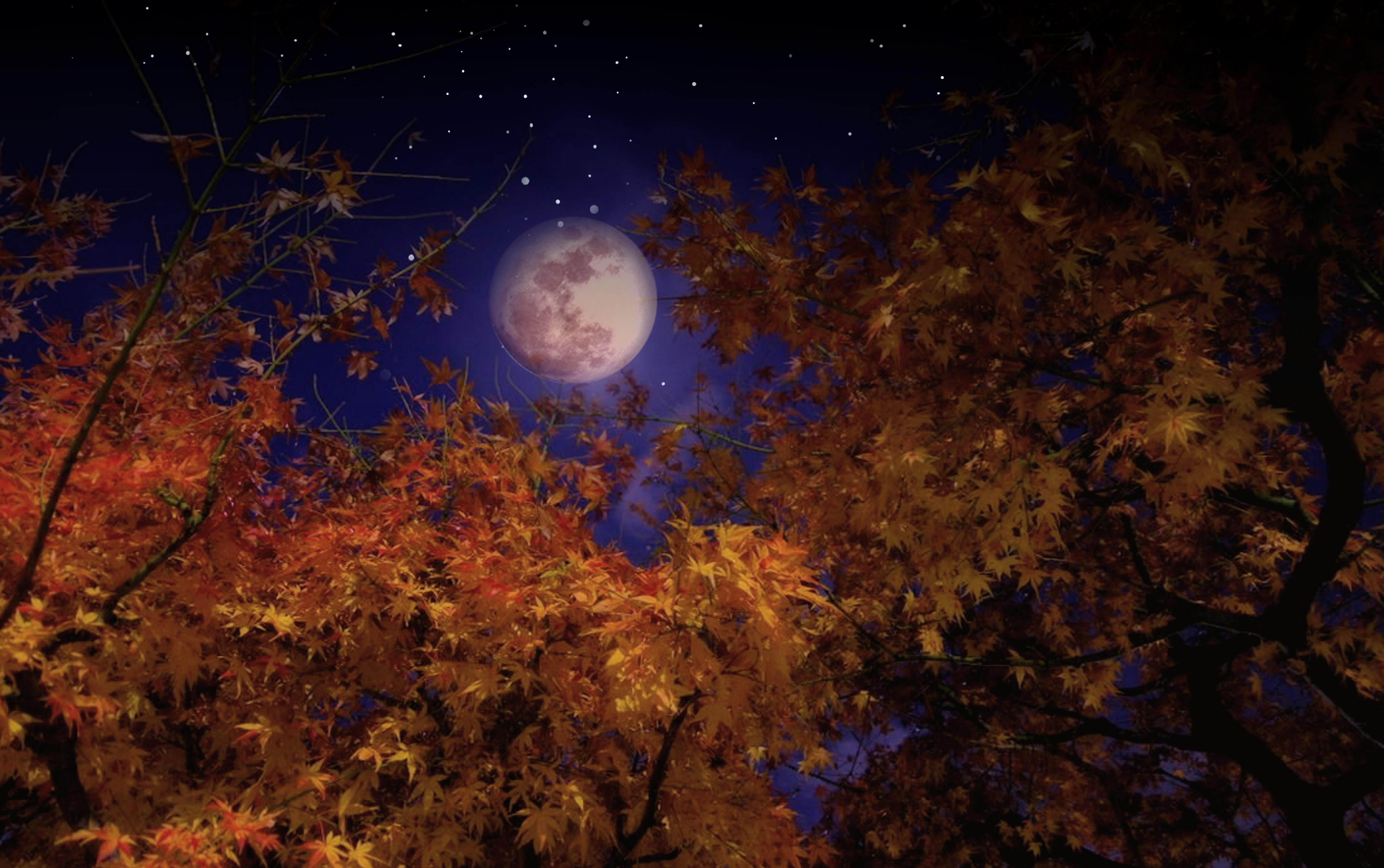 Конец сентября вечер. Осенняя ночь. Осень ночь. Осенний вечер. Осеннее небо.