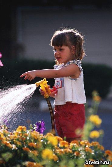 Мне не жаль ничего, ничего!