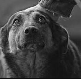 Зачем народу этот бред?