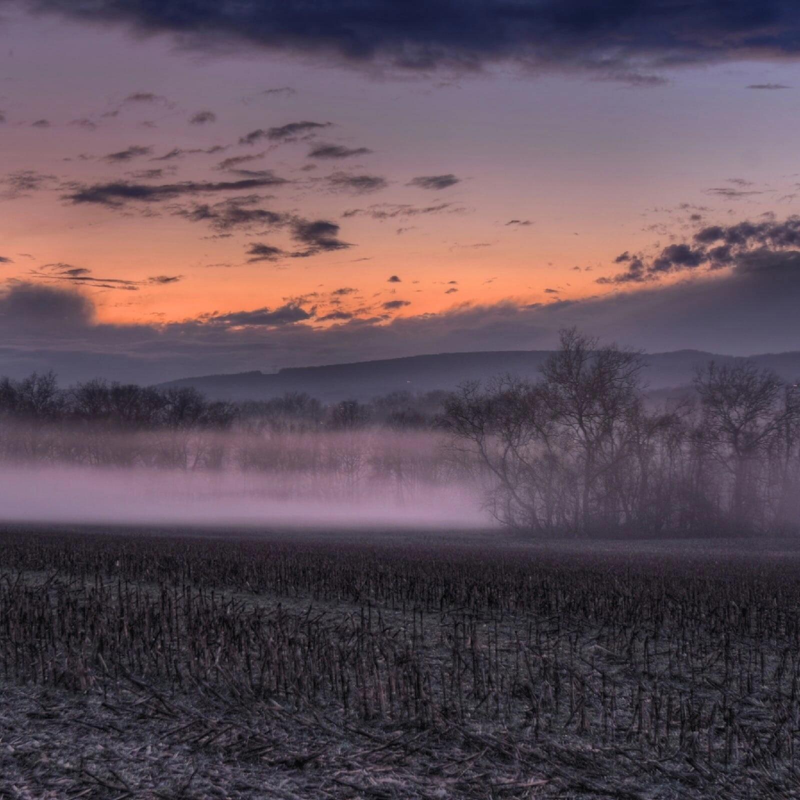 Она, как прежде, захотела… ( А. Блок )