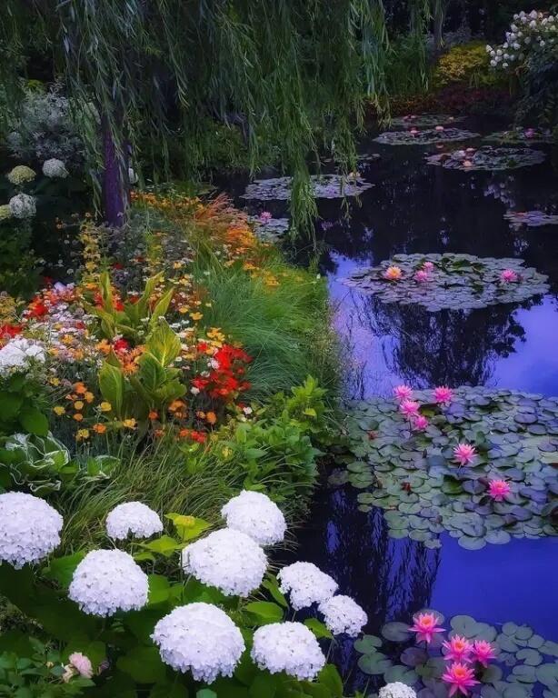 Может быть, нужно было подождать с рождением