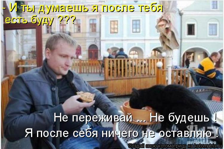 Ну зачем вам кошки, мужики?