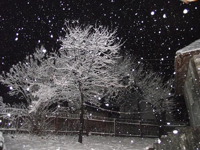 Первый снег...