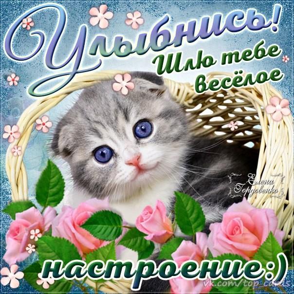 Встала рано....