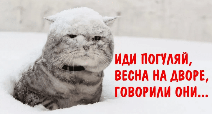 Апрельская Зима