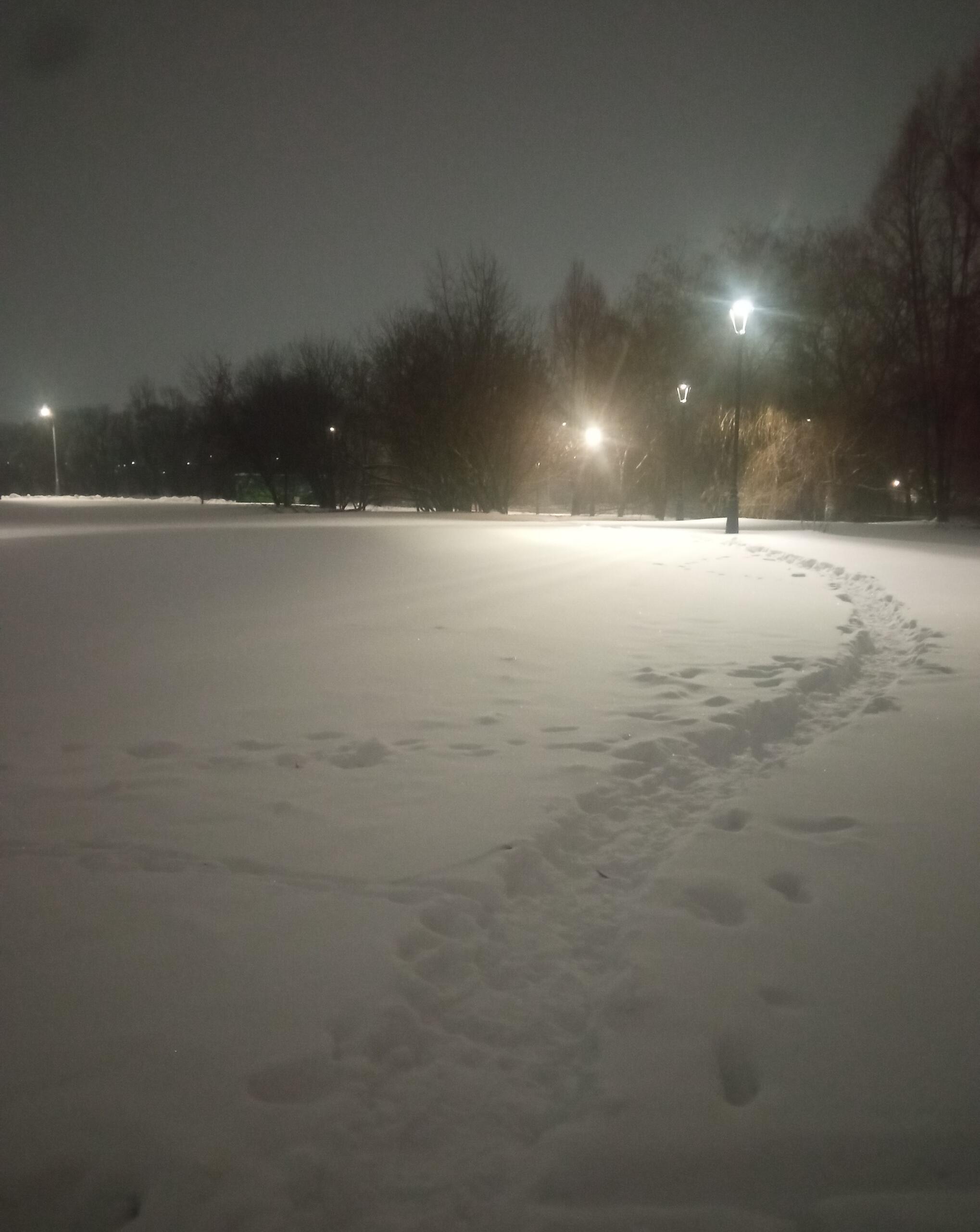 Метель (мини-рассказ)