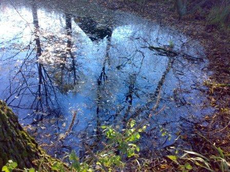 отголосок в вечности