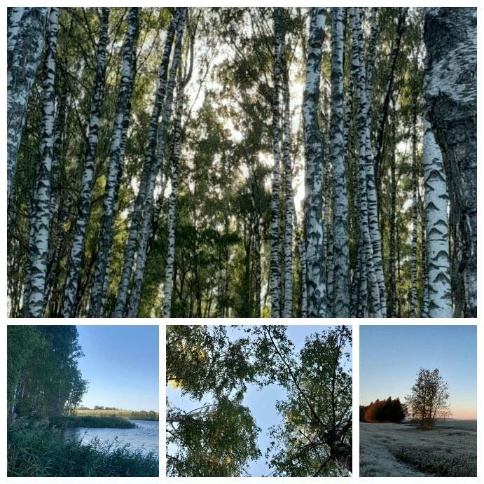 у каждого есть место на земле...