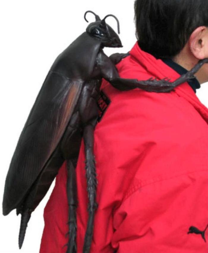 клан Тараканов