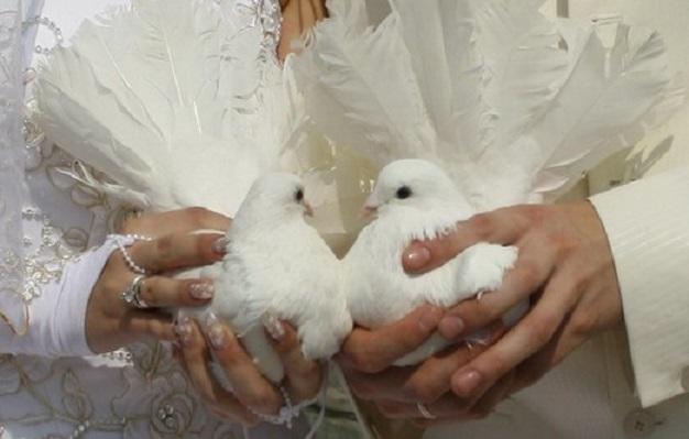 "…Любовь" (21.02.2016)