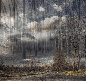 Ах, где же, где же...