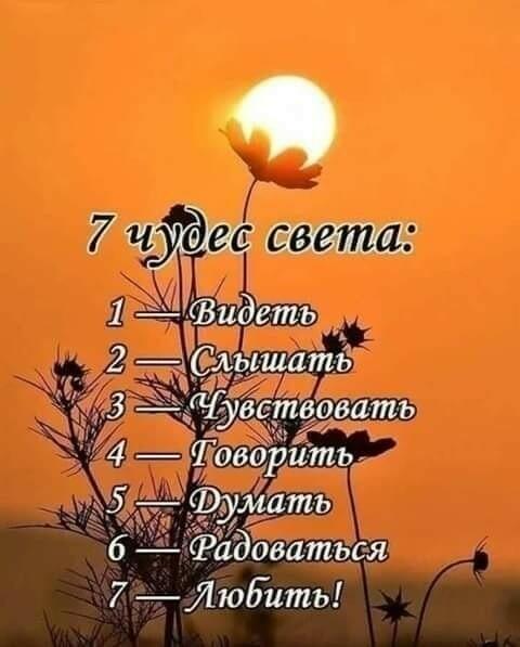 Семь чудес света