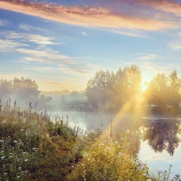 "Красота" (21.04.2018)