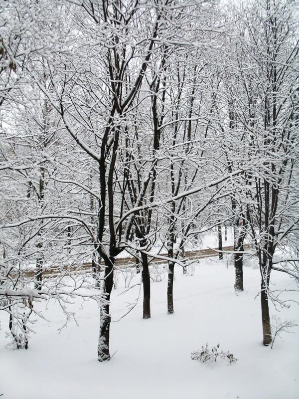 Кругом сугробы. Зима зима кругом снега. Снег кругом снег. Саван белее снега. Зима кругом лежит белый снег.