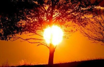 Ах! Дивно сумерек таИнство...