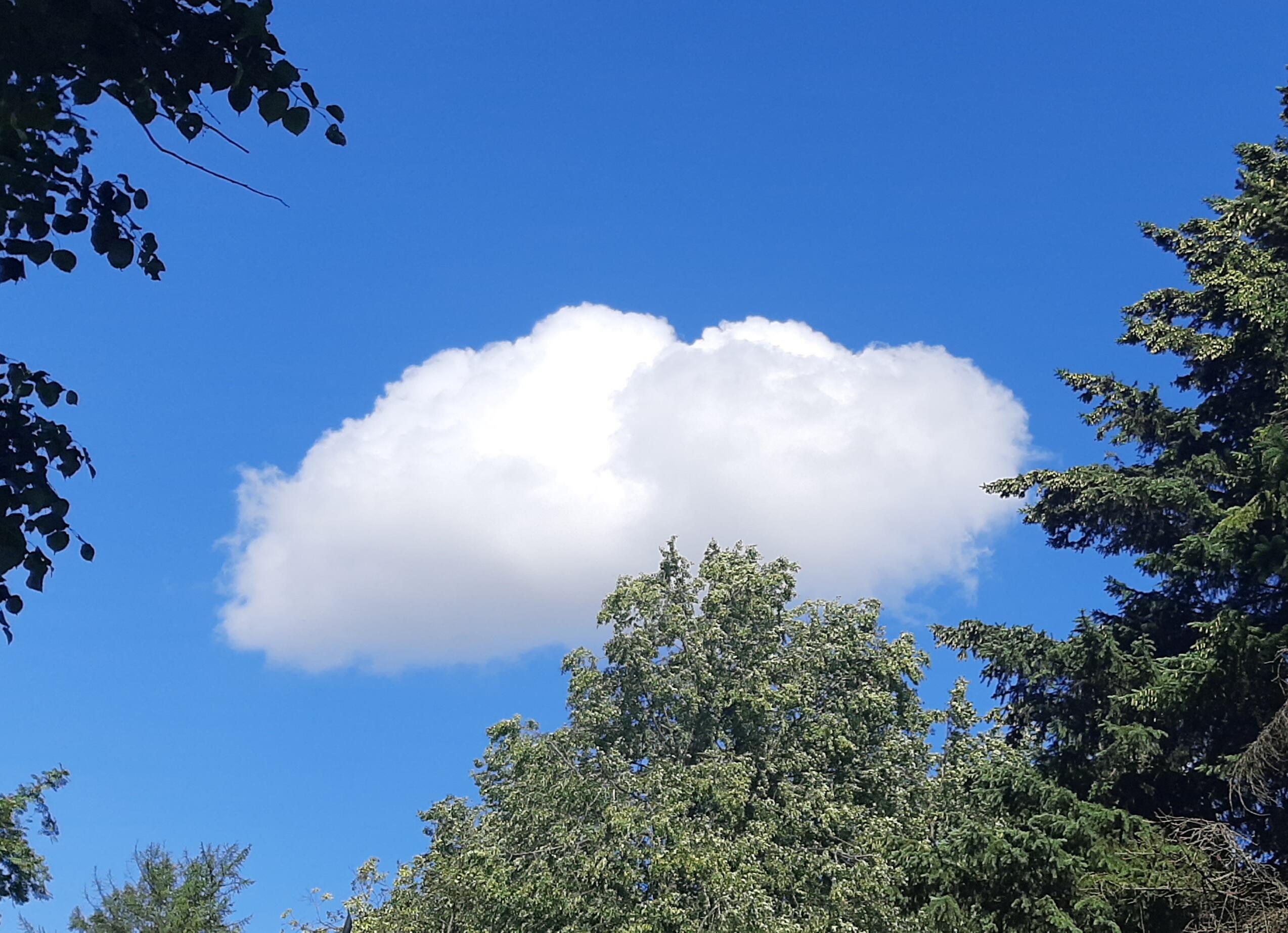 Только вдох и выдох