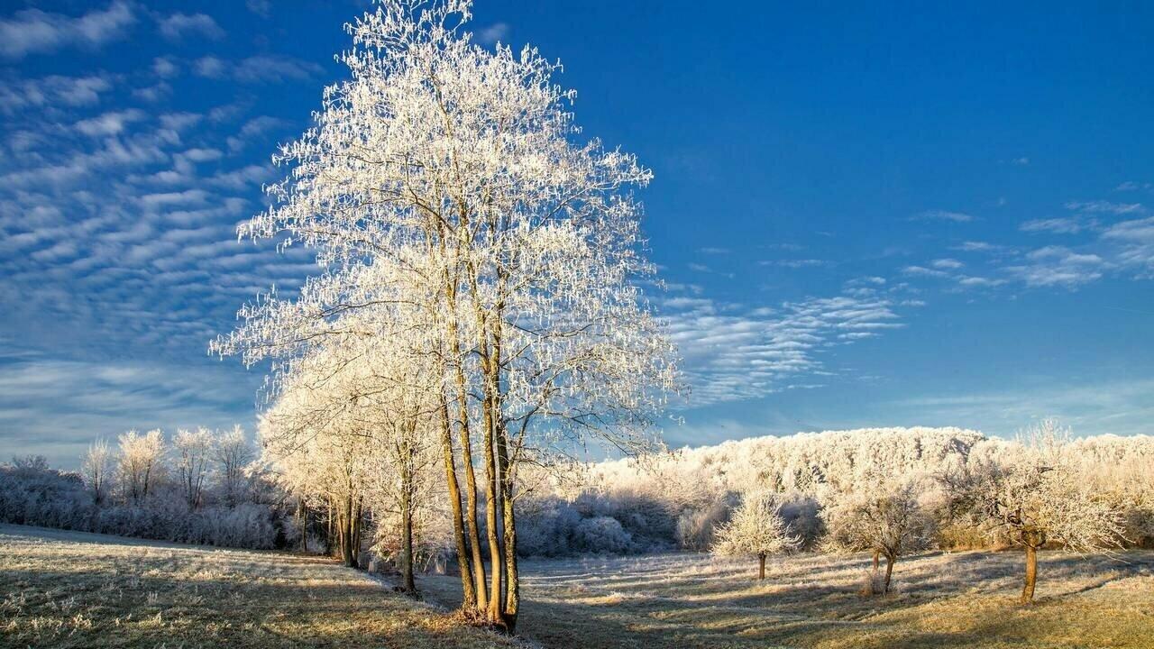 ПО  СЛЕДУ  ЗИМНЕЙ  КРАСОТЫ